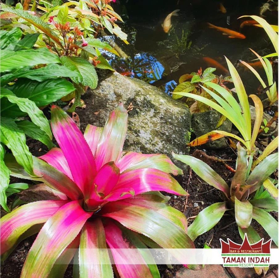 Taman Indah Resort Tamanredjo Exterior foto
